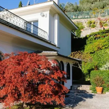 Sarita In Villa *